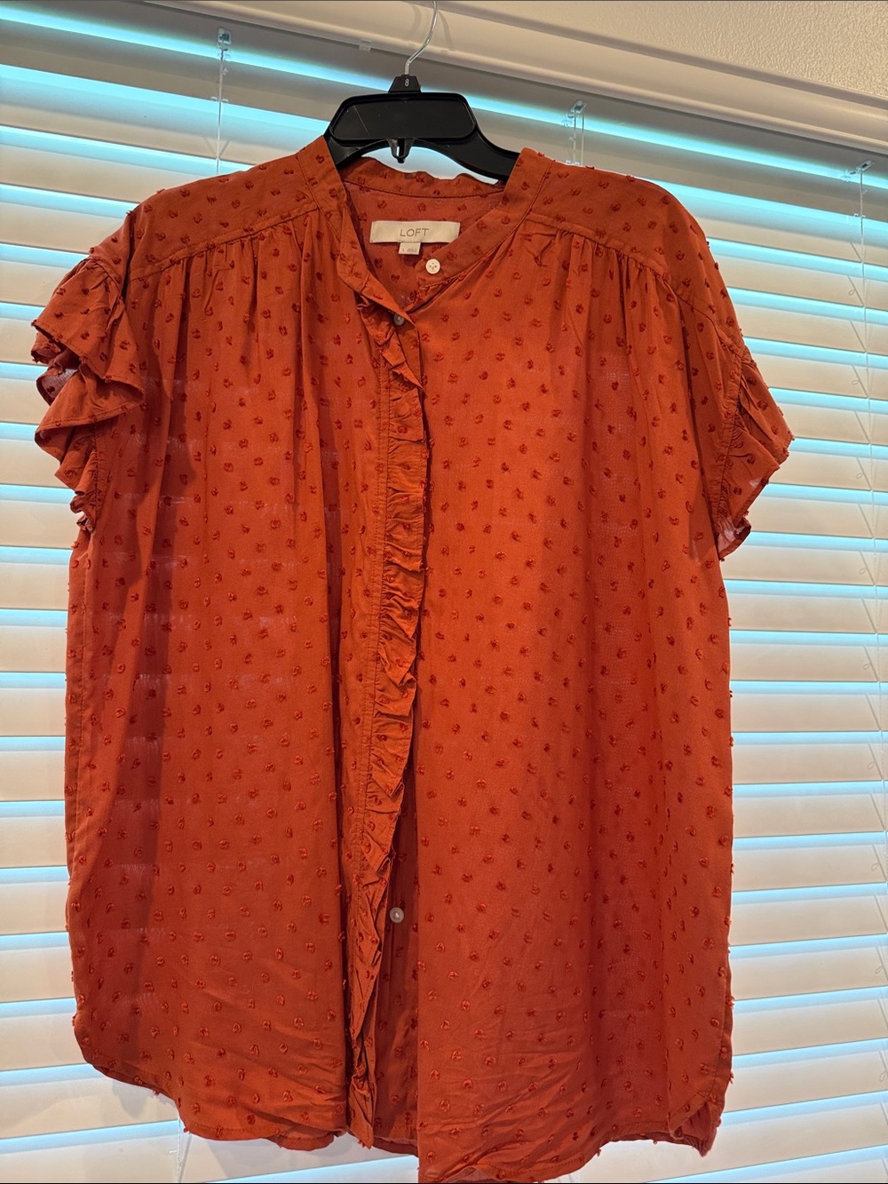 LOFT Rust Ruffle-Front Dot Blouse